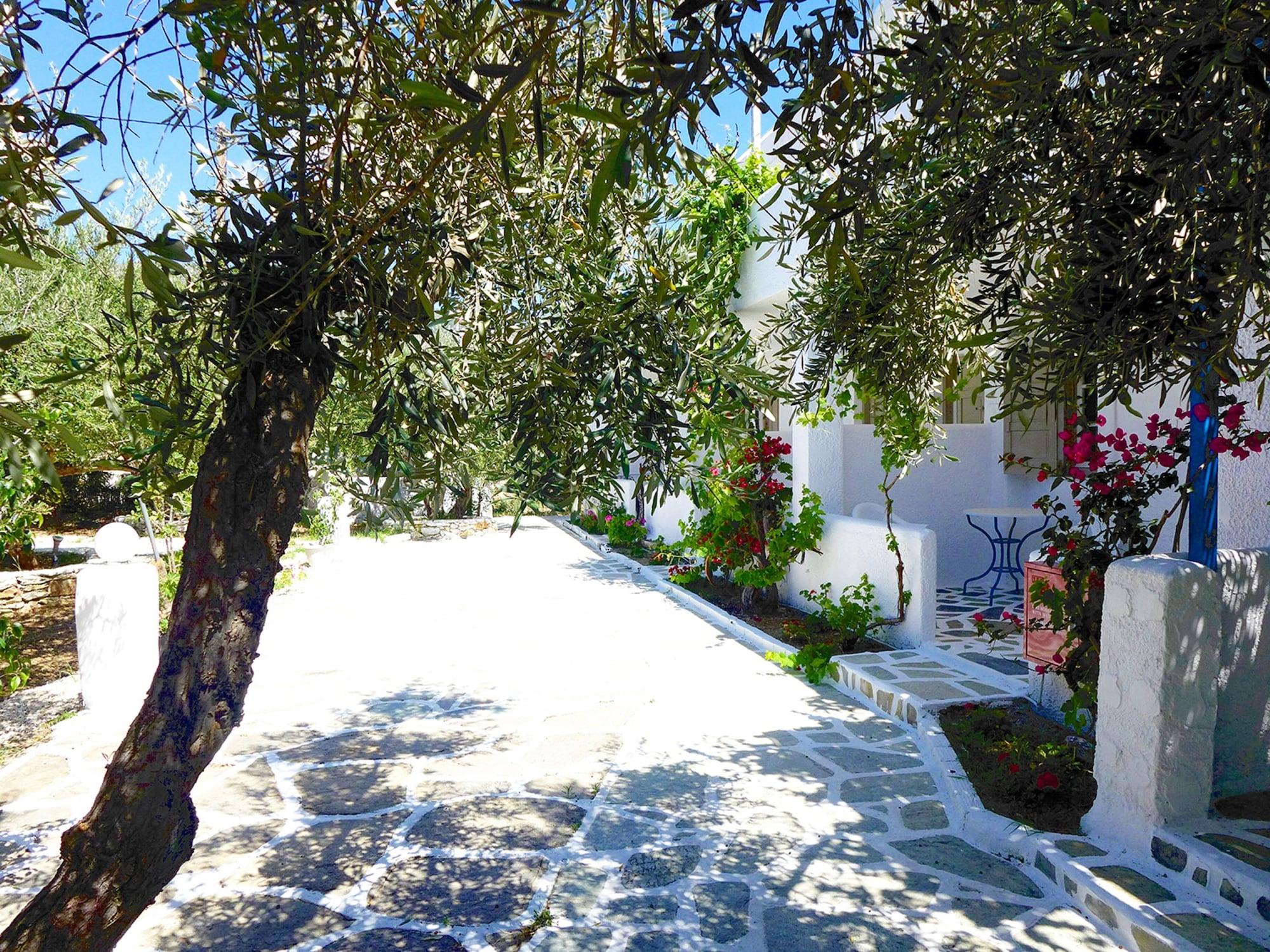 Amaryllis Beach Hotel Chrisi Akti  Exterior foto